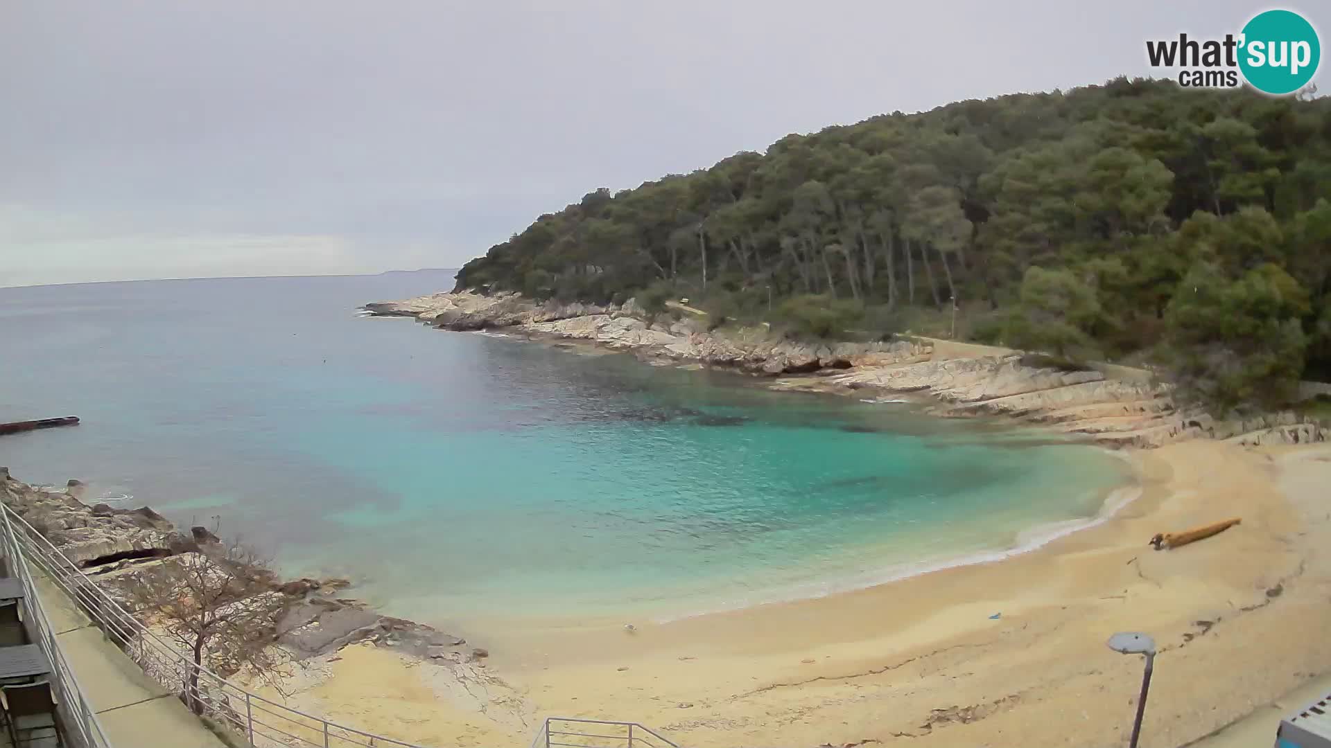 Webcam Mali Lošinj – plage Sunčana uvala – Veli Žal