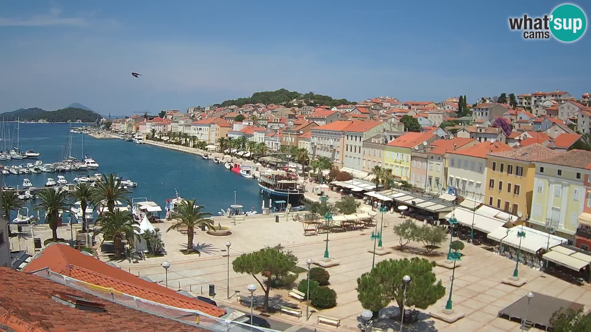 Webkam Mali Lošinj – Glavni trg