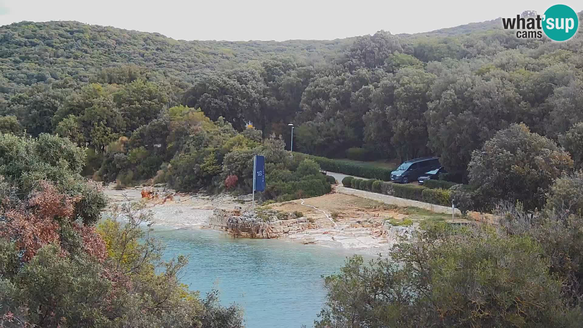 Caming and Mobile Homes Mon Perin – Istria – Bale