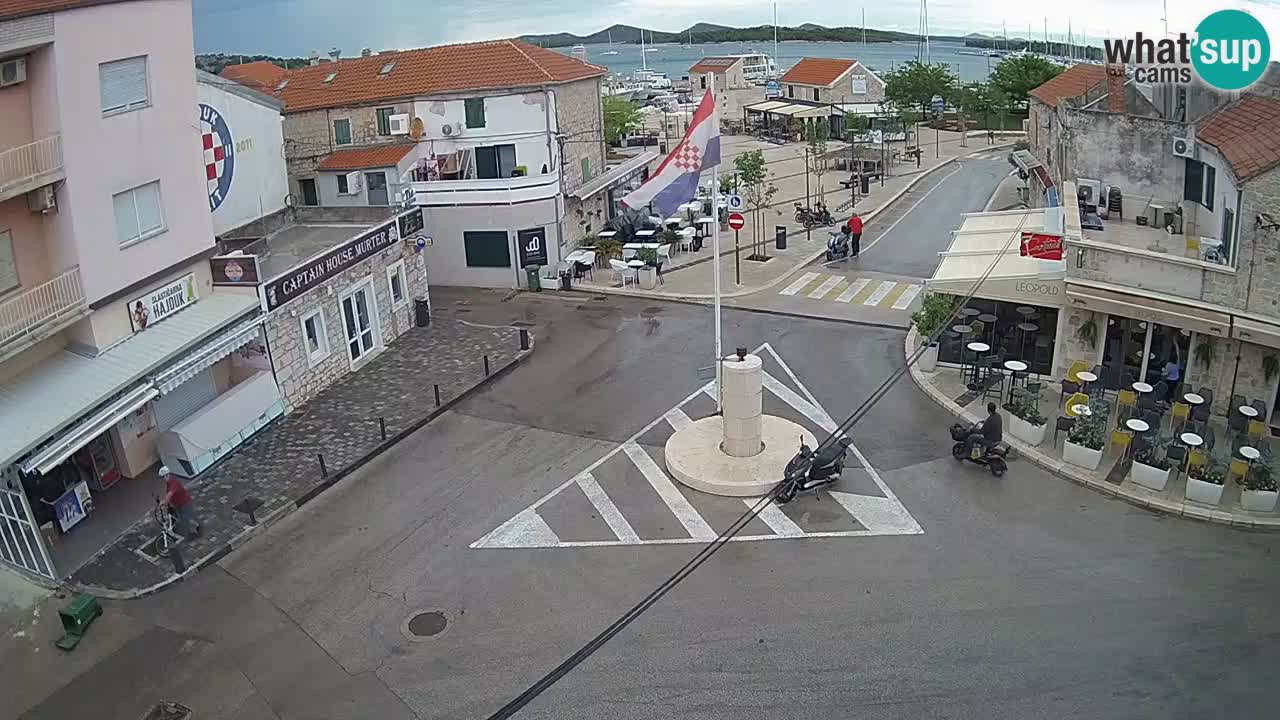 Isola di Morter webcam – Dalmazia