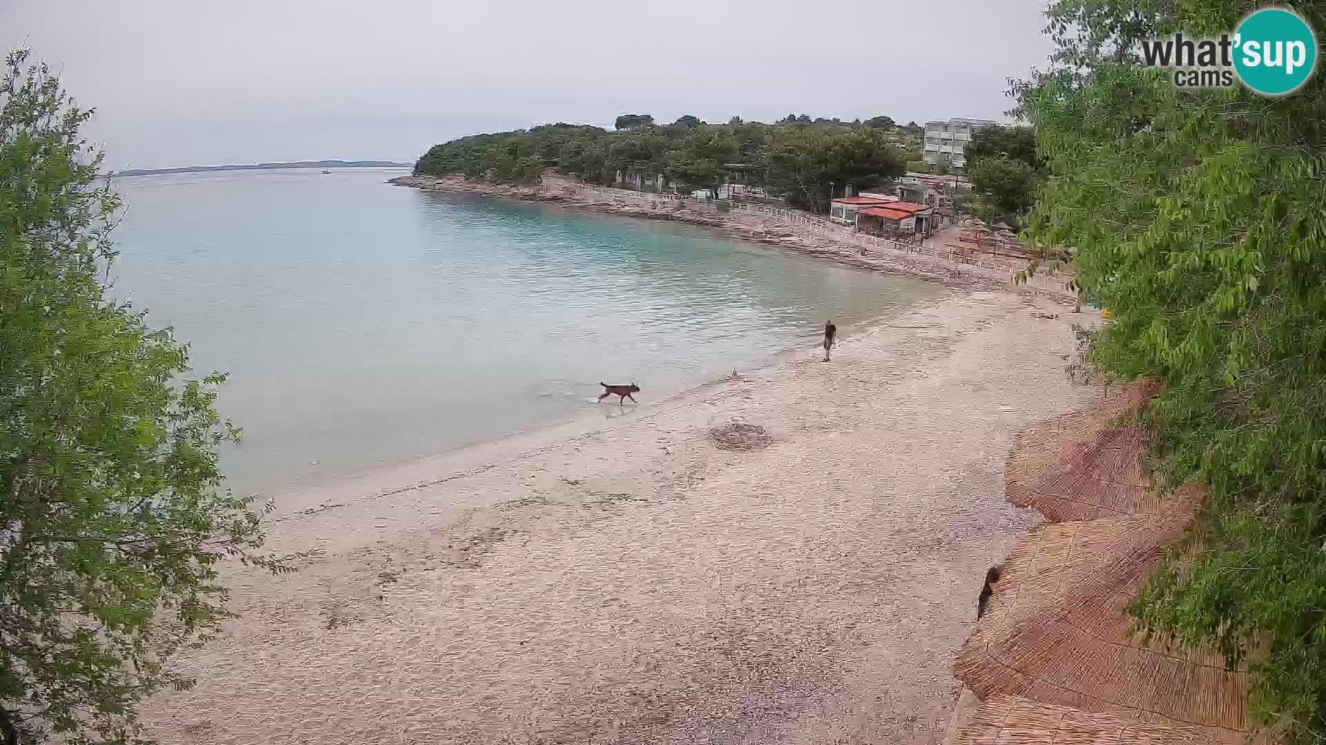 Spiaggia Slanica Morter – Live cam