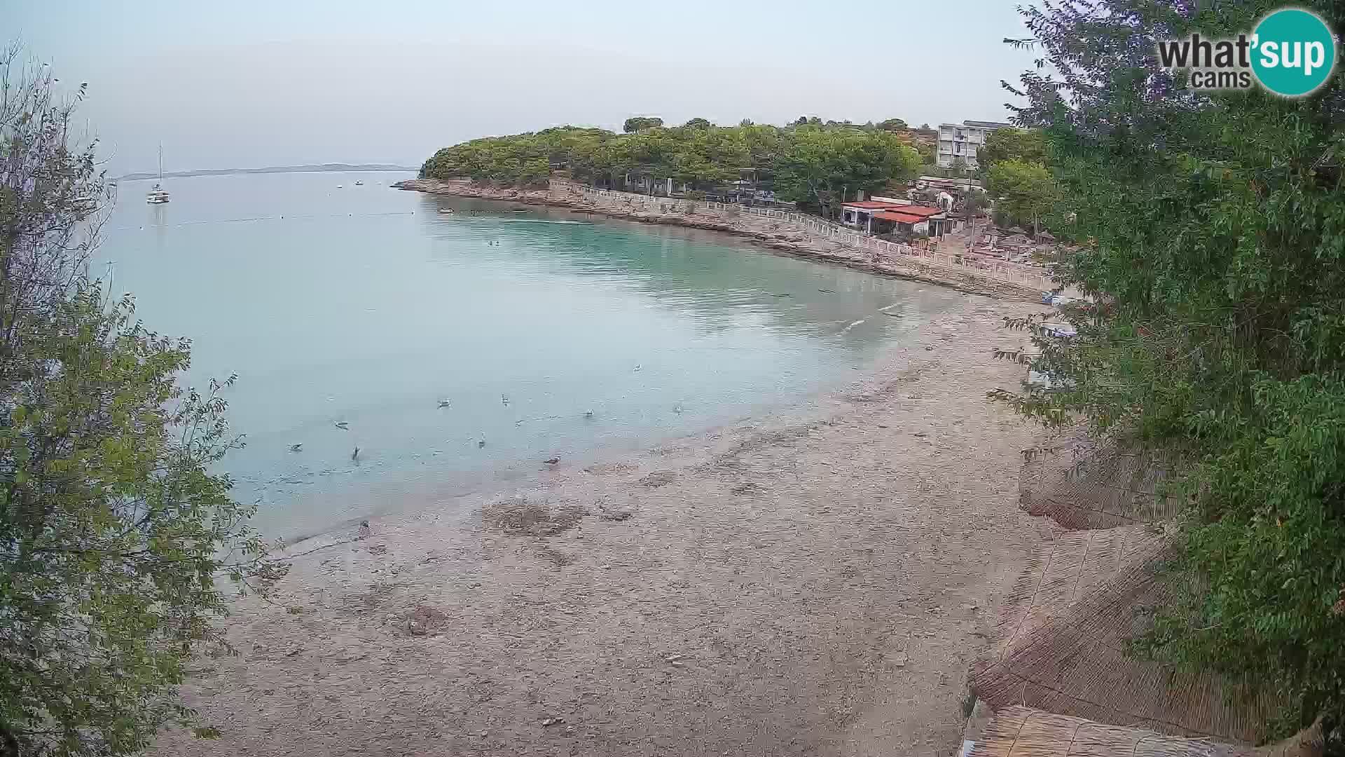 Spiaggia Slanica Morter – Live cam