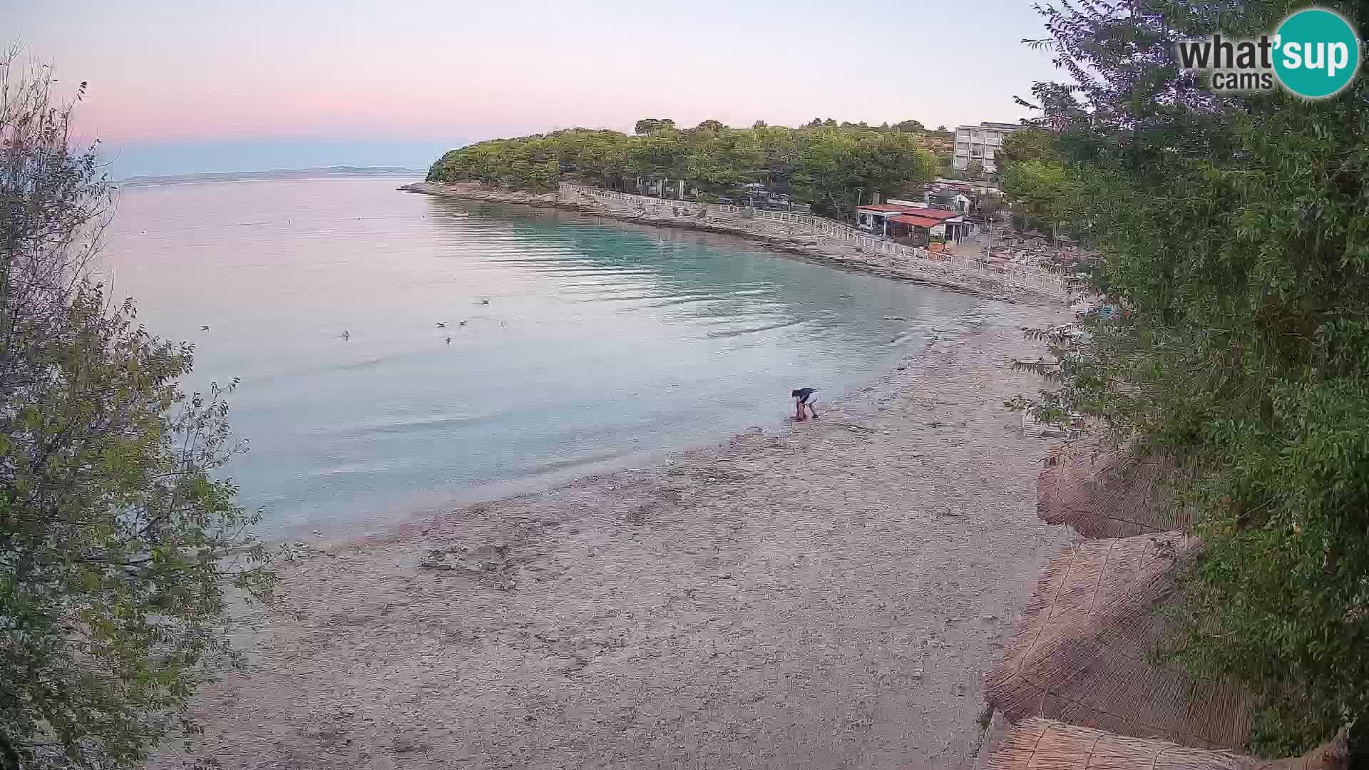 Spiaggia Slanica Morter – Live cam