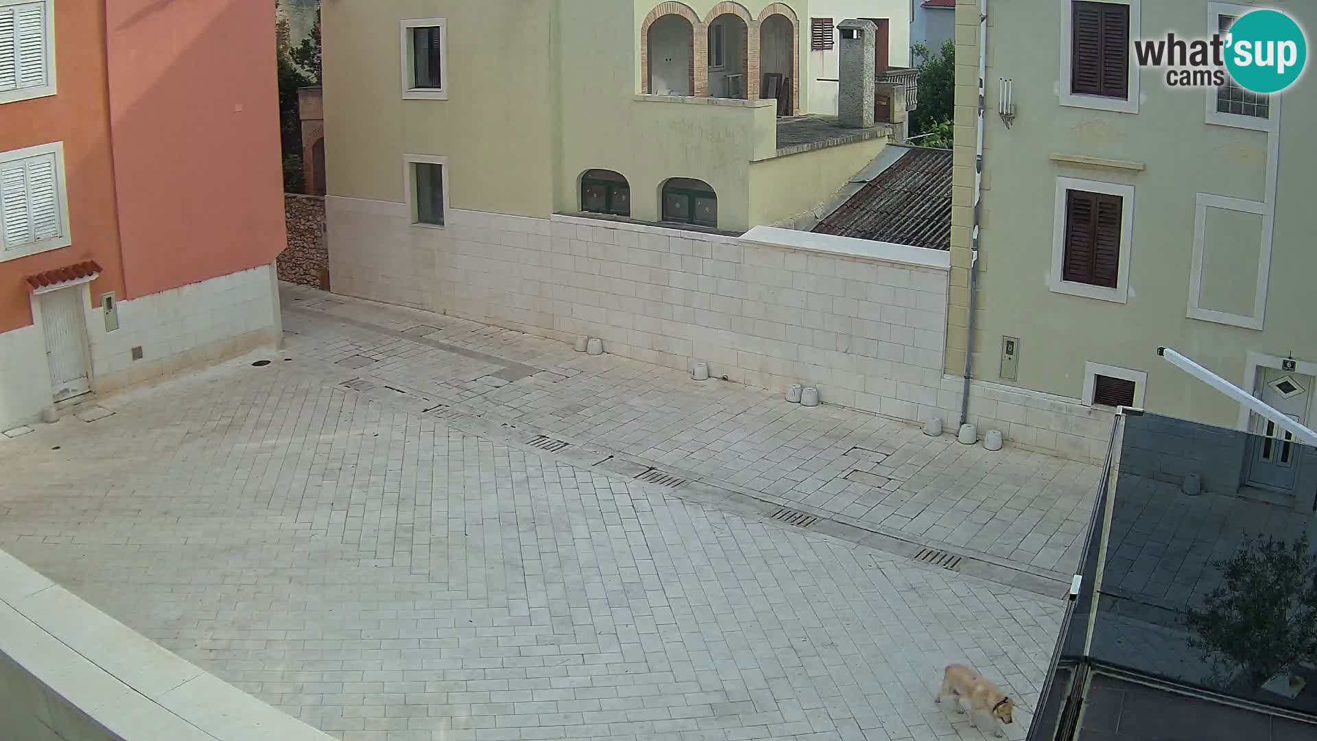 Novalja – Alojzija Stepinca square and Dalmatinska street