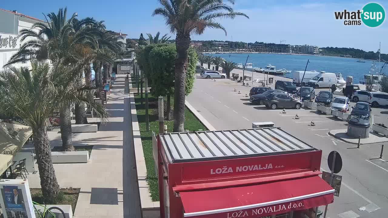 Camera en diecto Novalja – Obala Petra Krešimira IV