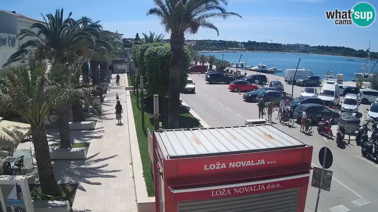 Spletna kamera Novalja – Obala Petra Krešimira IV