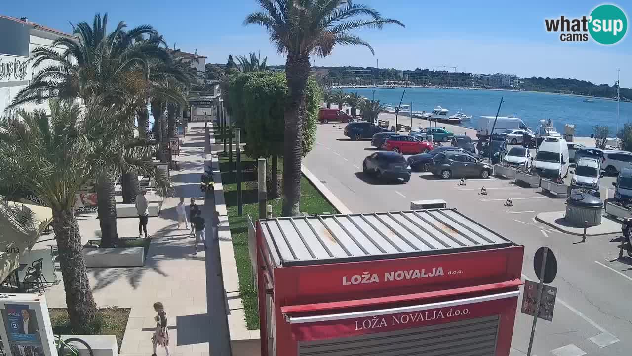 Camera en diecto Novalja – Obala Petra Krešimira IV