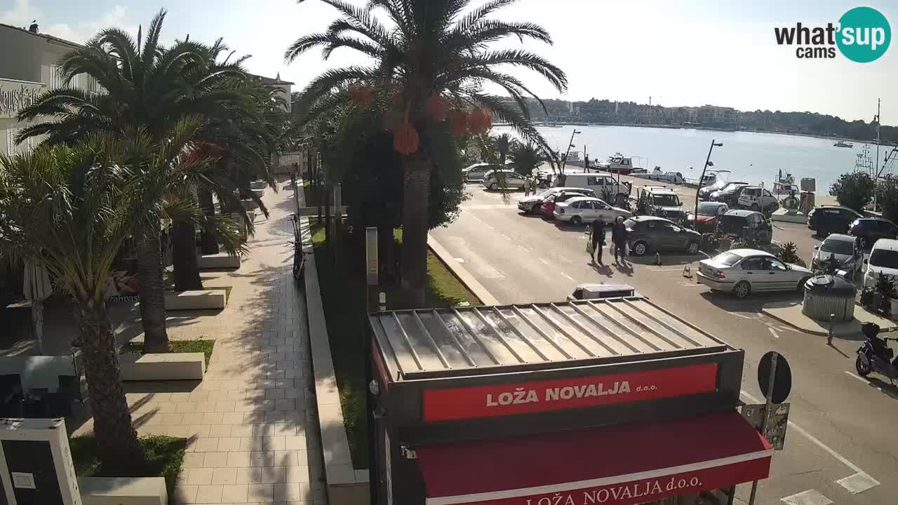 Webcam live Novalja – Obala Petra Krešimira IV