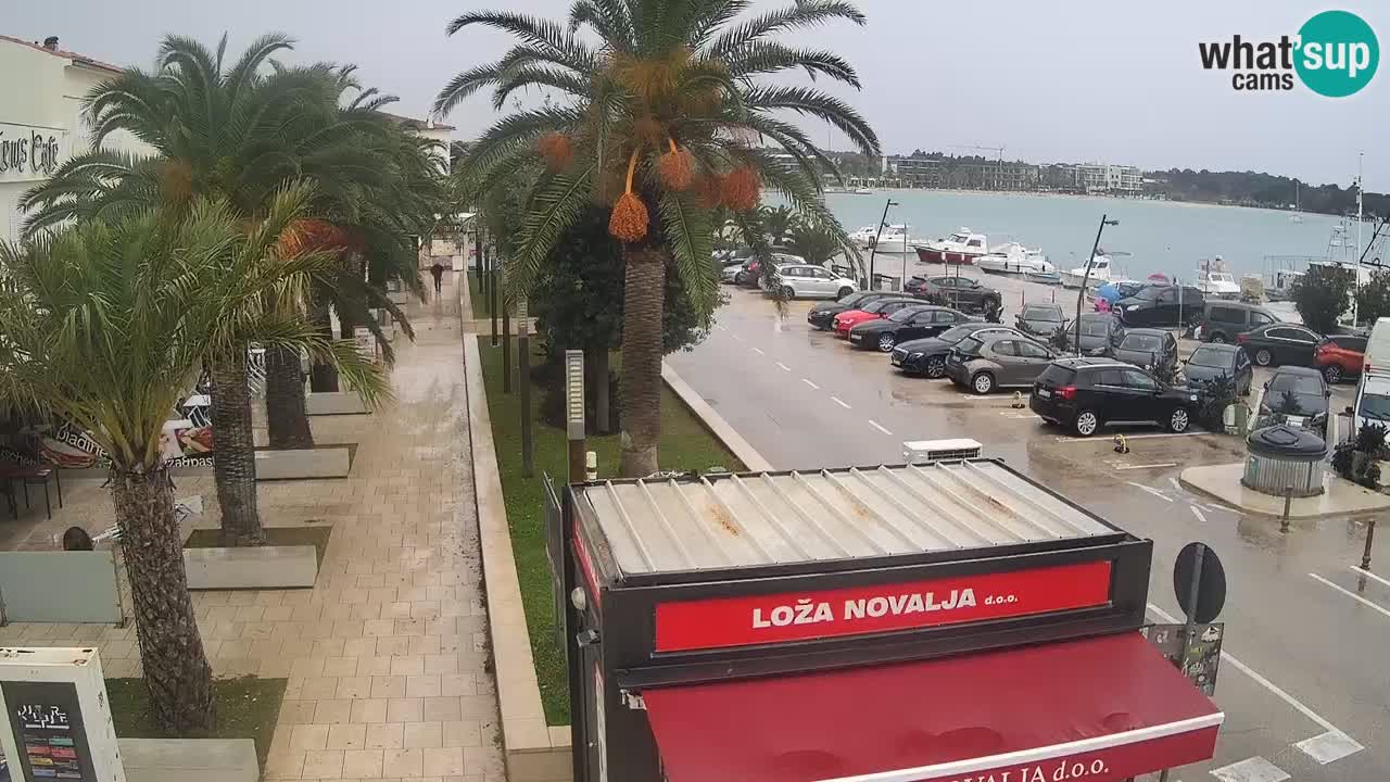 Webcam live Novalja – Obala Petra Krešimira IV