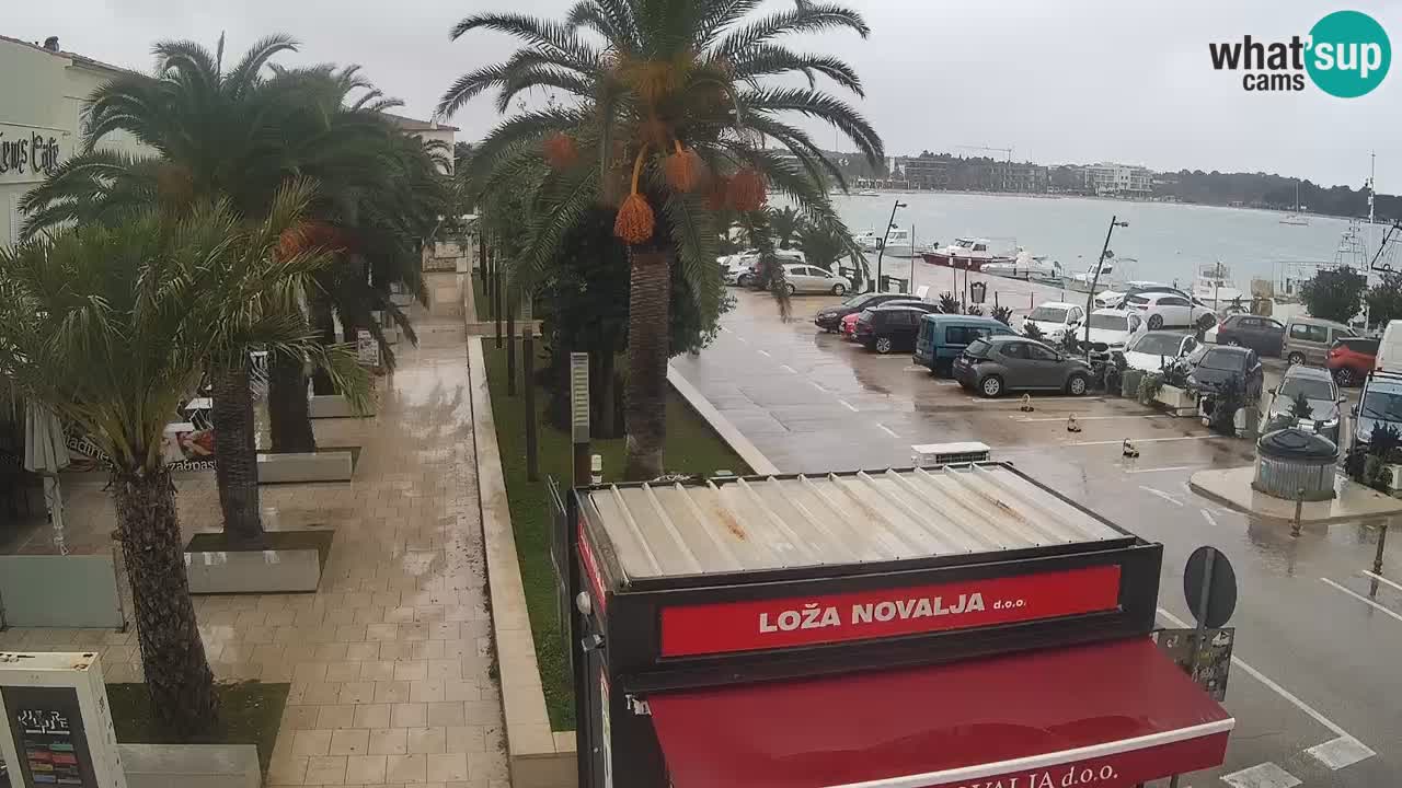 Webcam live Novalja – Obala Petra Krešimira IV