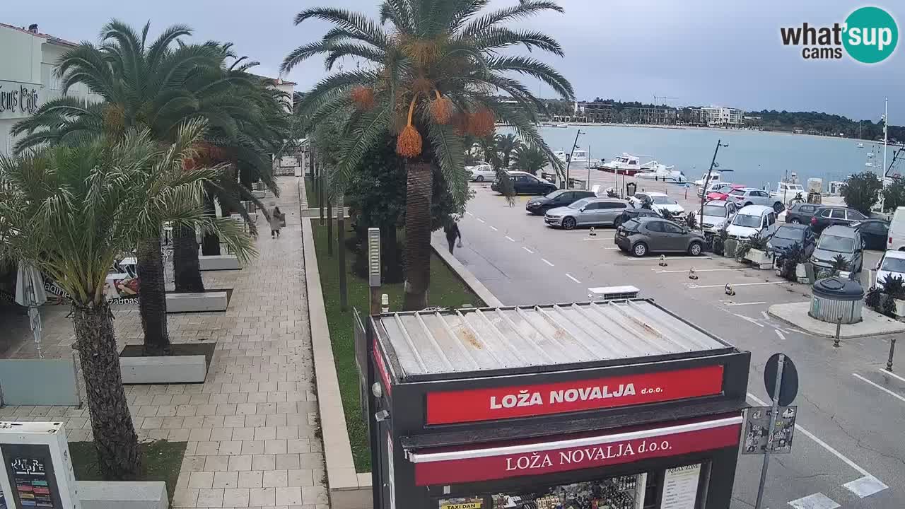 Webcam Novalja – Obala Petra Krešimira IV