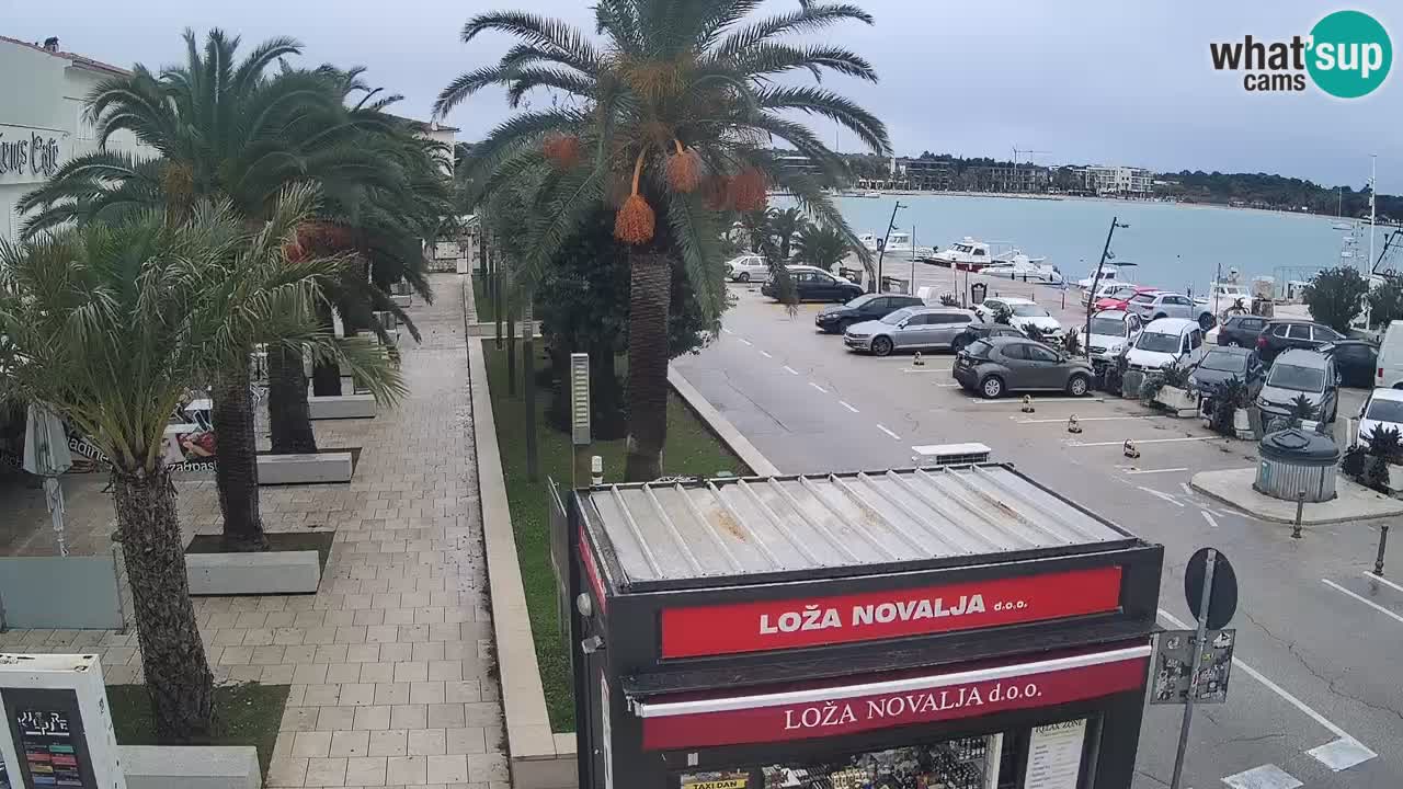 Webcam live Novalja – Obala Petra Krešimira IV