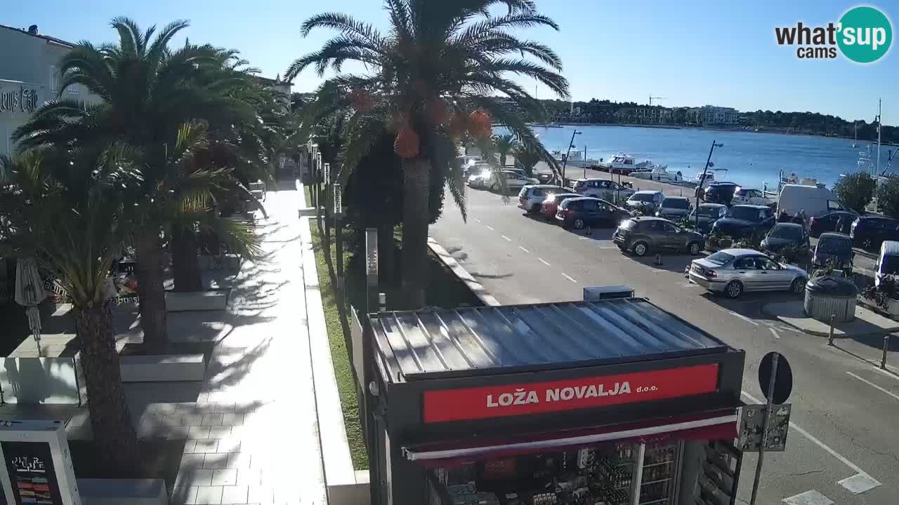 Webcam live Novalja – Obala Petra Krešimira IV