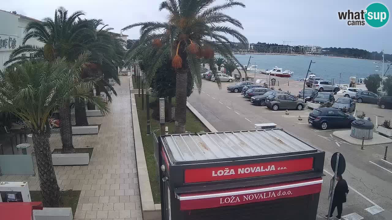 Webcam Novalja – Obala Petra Krešimira IV