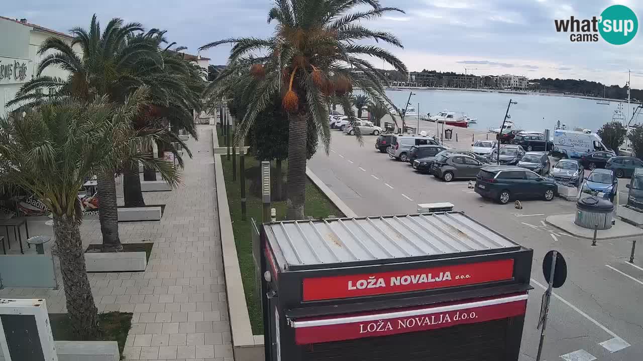 Live cam Novalja – Obala Petra Krešimira IV