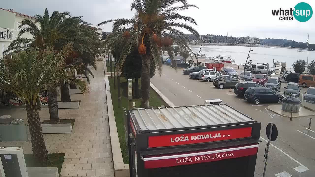 Webcam live Novalja – Obala Petra Krešimira IV