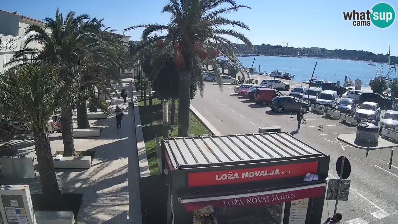 Live cam Novalja – Obala Petra Krešimira IV