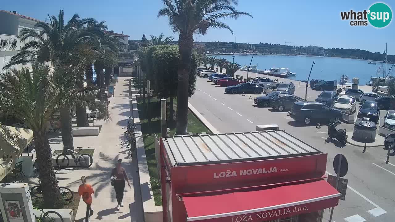 Spletna kamera Novalja – Obala Petra Krešimira IV