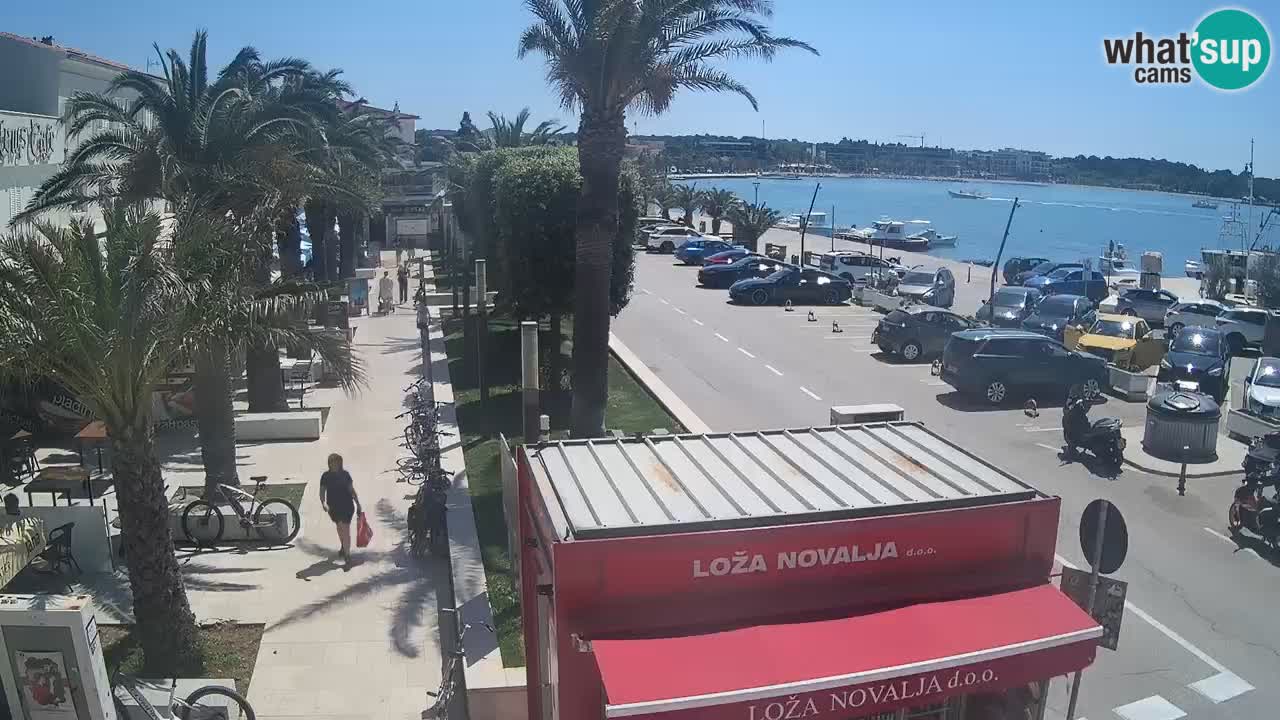 Camera en diecto Novalja – Obala Petra Krešimira IV