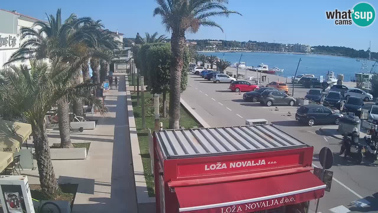 Web kamera Novalja – Obala Petra Krešimira IV
