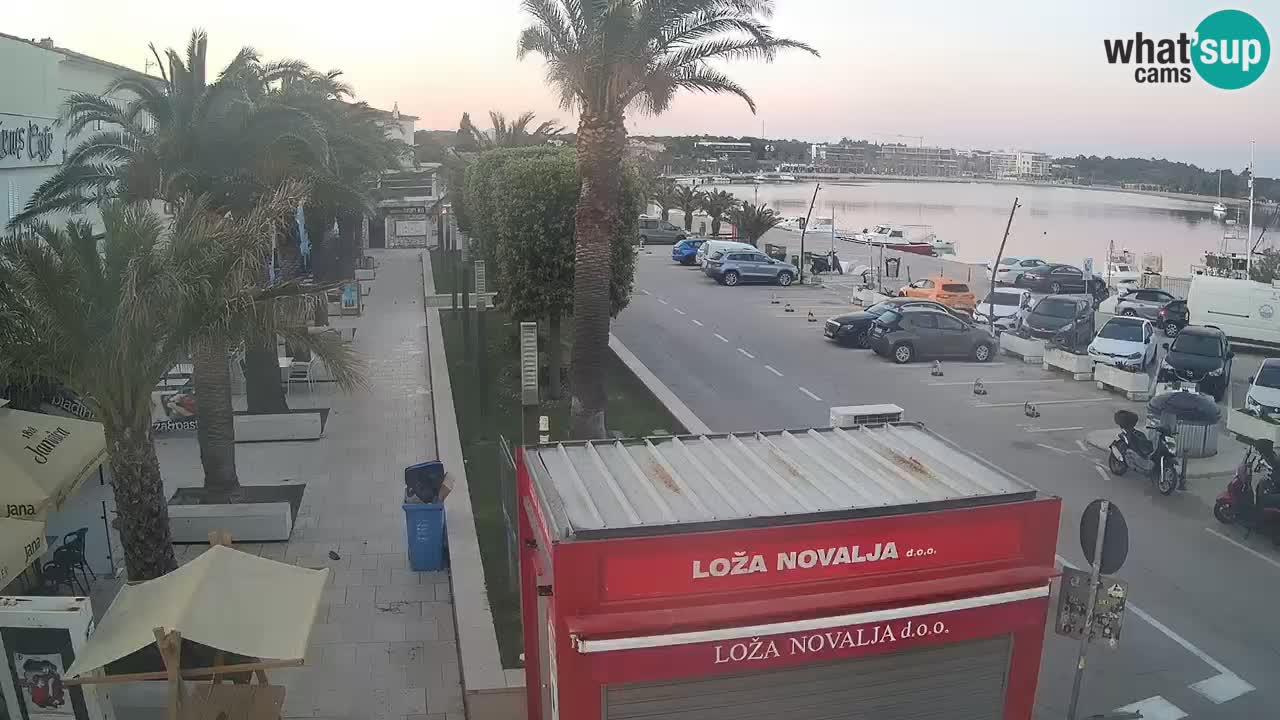 Camera en diecto Novalja – Obala Petra Krešimira IV