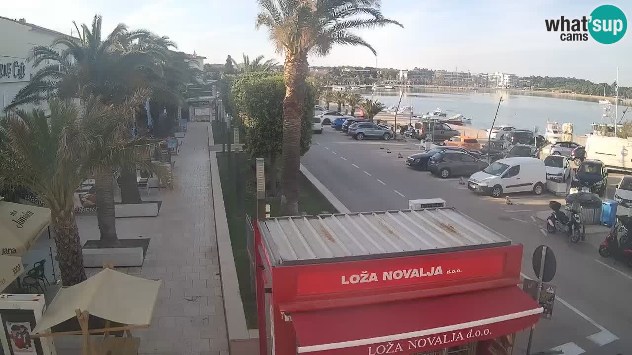 Camera en diecto Novalja – Obala Petra Krešimira IV