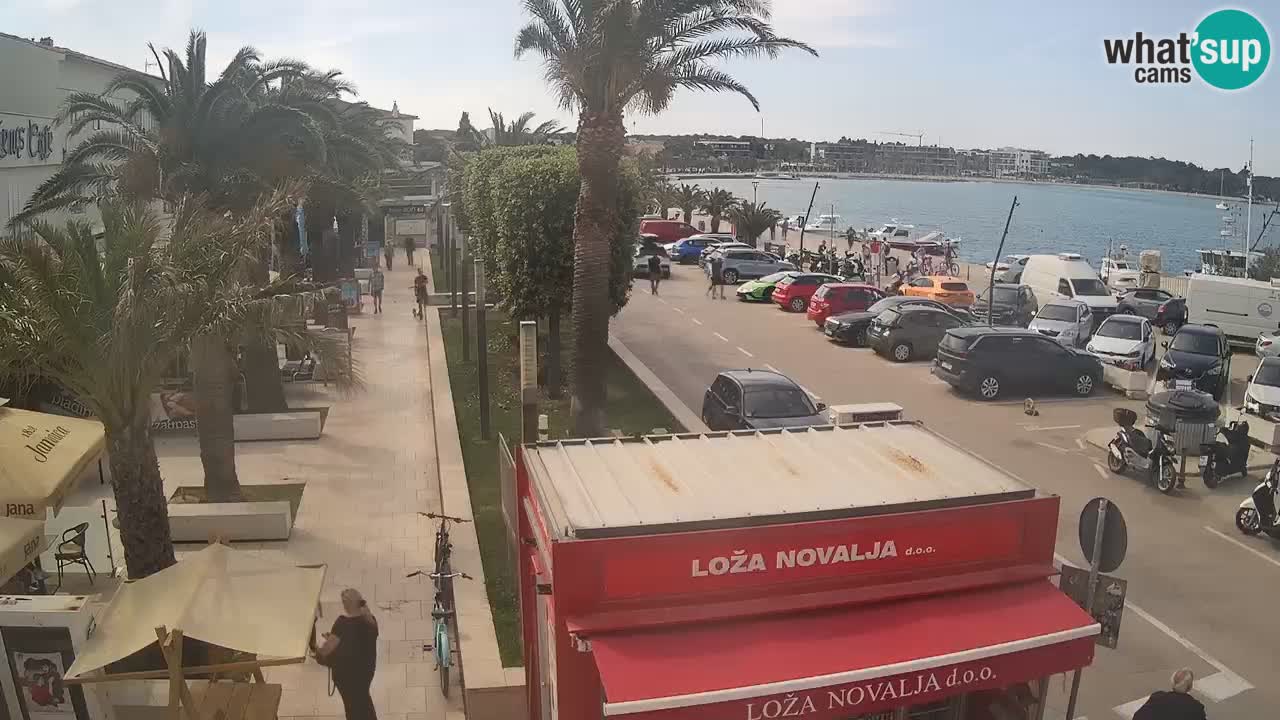 Camera en diecto Novalja – Obala Petra Krešimira IV