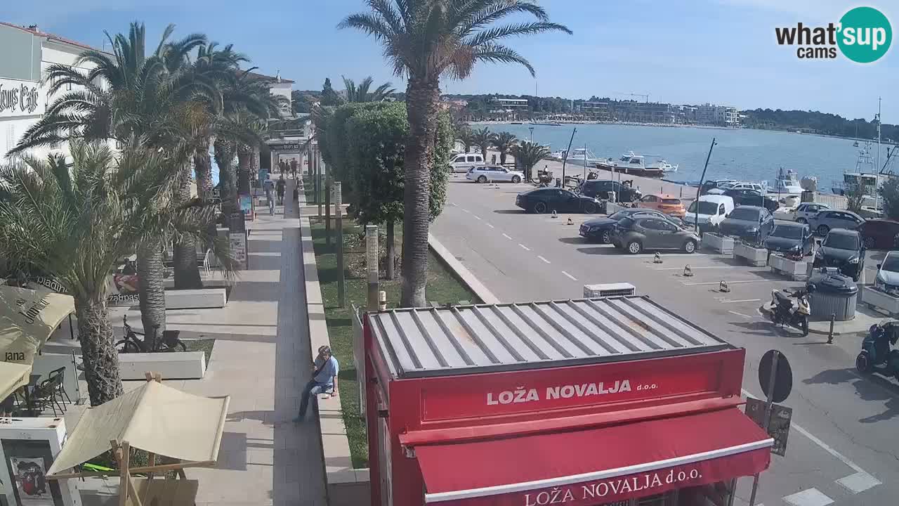 Spletna kamera Novalja – Obala Petra Krešimira IV