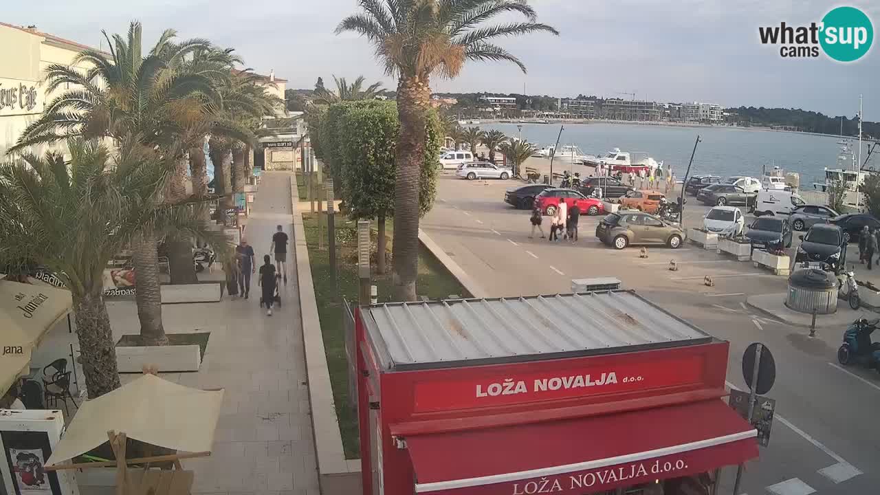 Web kamera Novalja – Obala Petra Krešimira IV