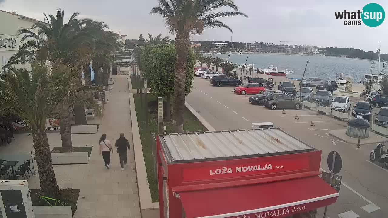 Camera en diecto Novalja – Obala Petra Krešimira IV