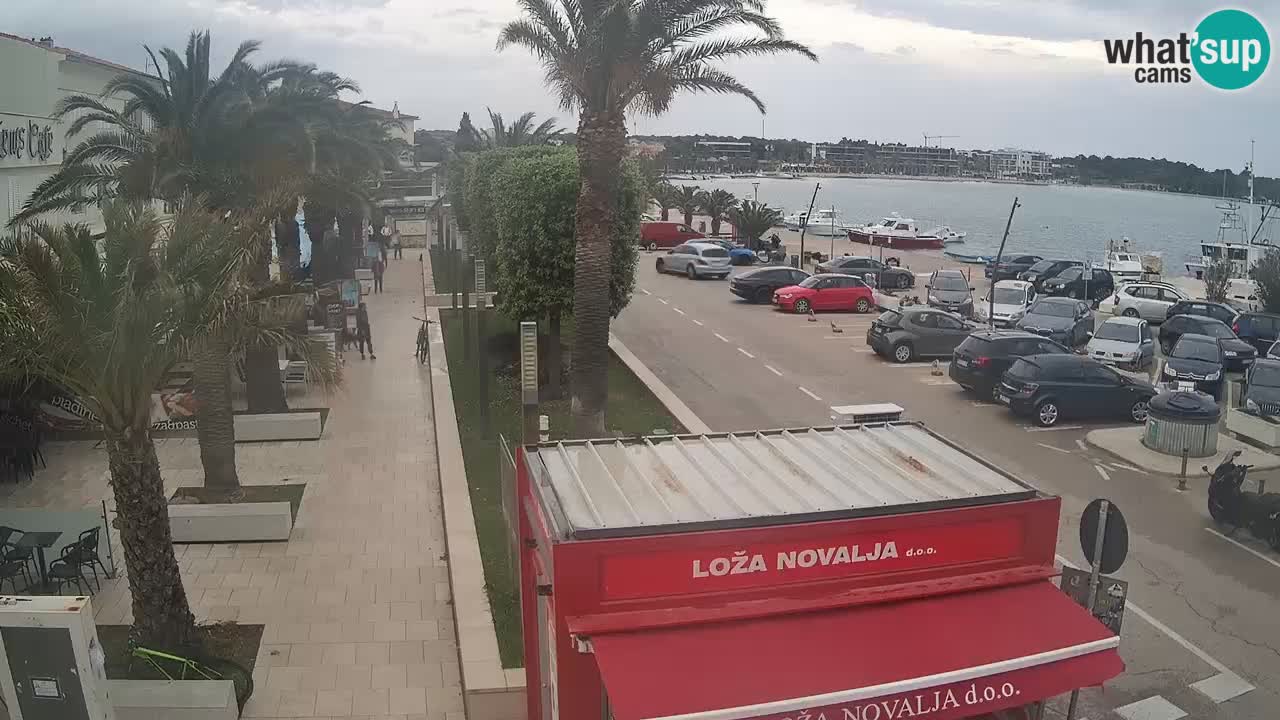 Camera en diecto Novalja – Obala Petra Krešimira IV