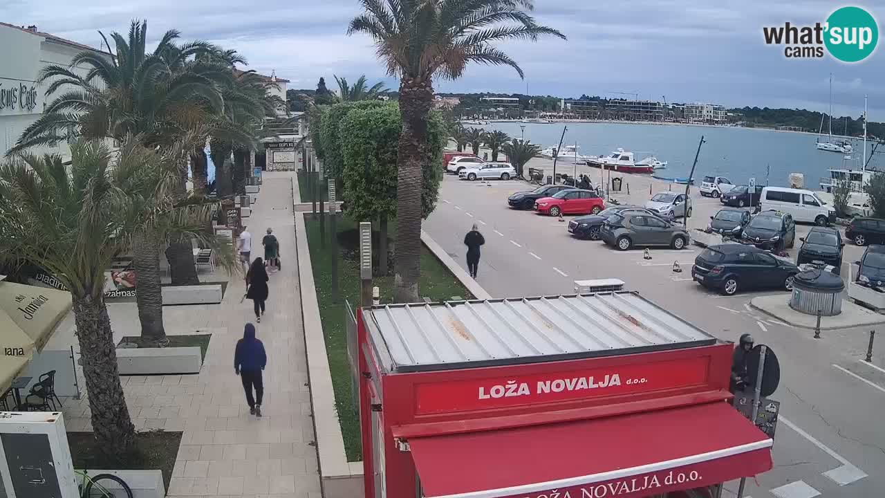 Camera en diecto Novalja – Obala Petra Krešimira IV