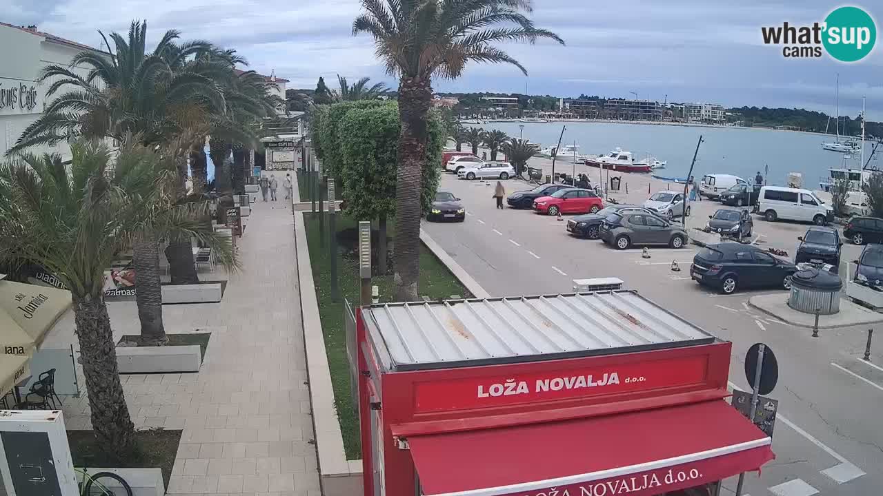 Camera en diecto Novalja – Obala Petra Krešimira IV