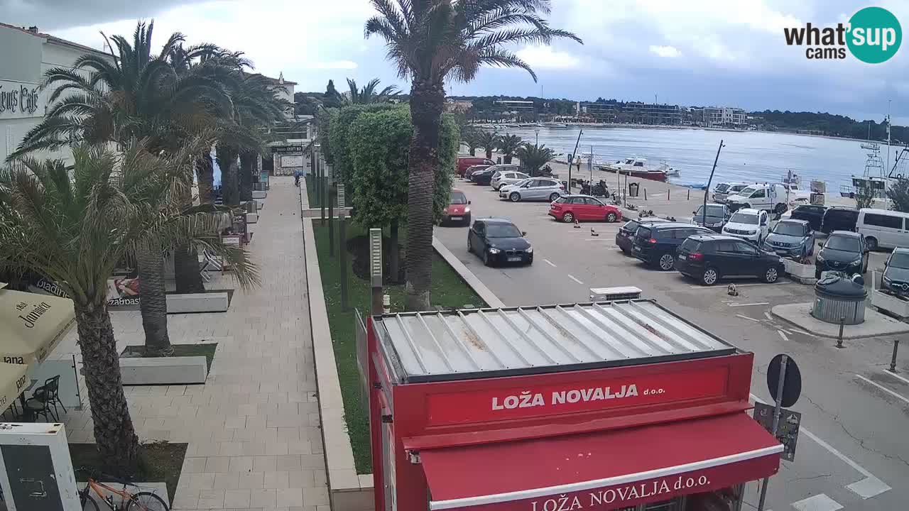 Camera en diecto Novalja – Obala Petra Krešimira IV