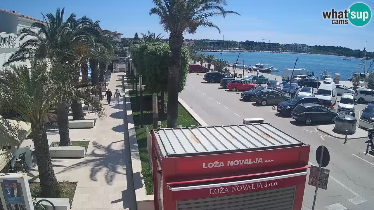 Spletna kamera Novalja – Obala Petra Krešimira IV