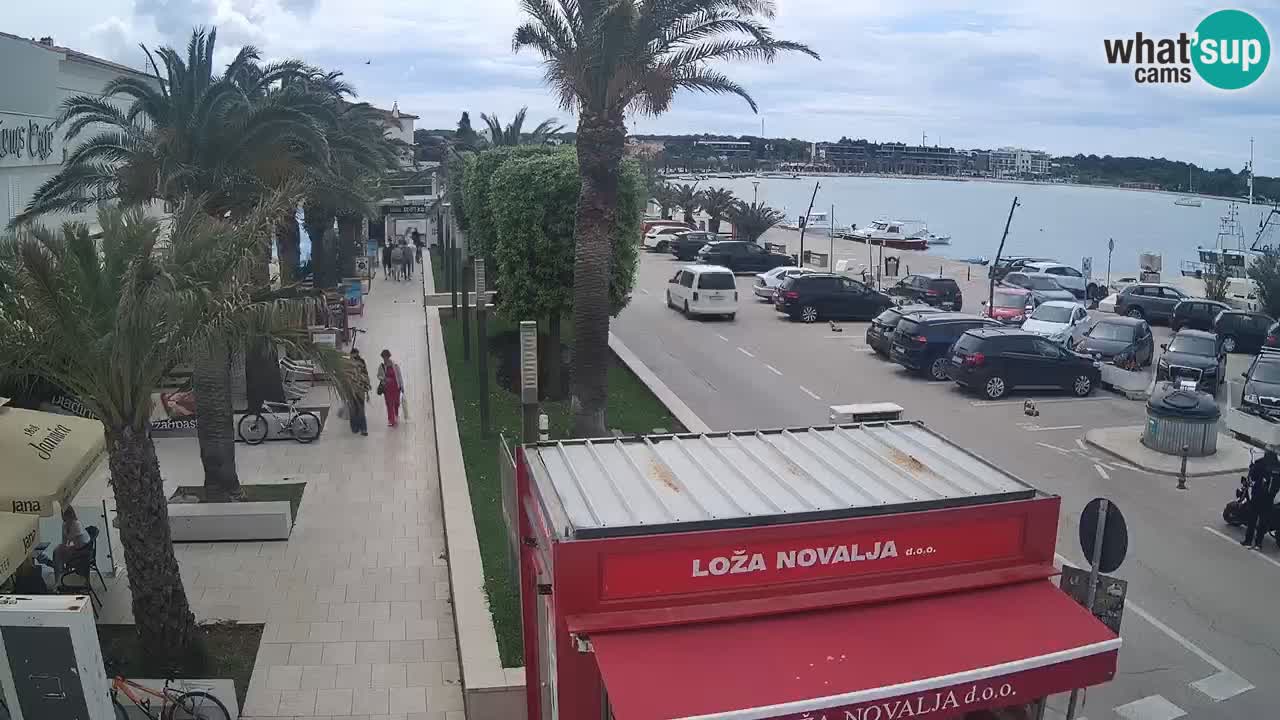 Camera en diecto Novalja – Obala Petra Krešimira IV
