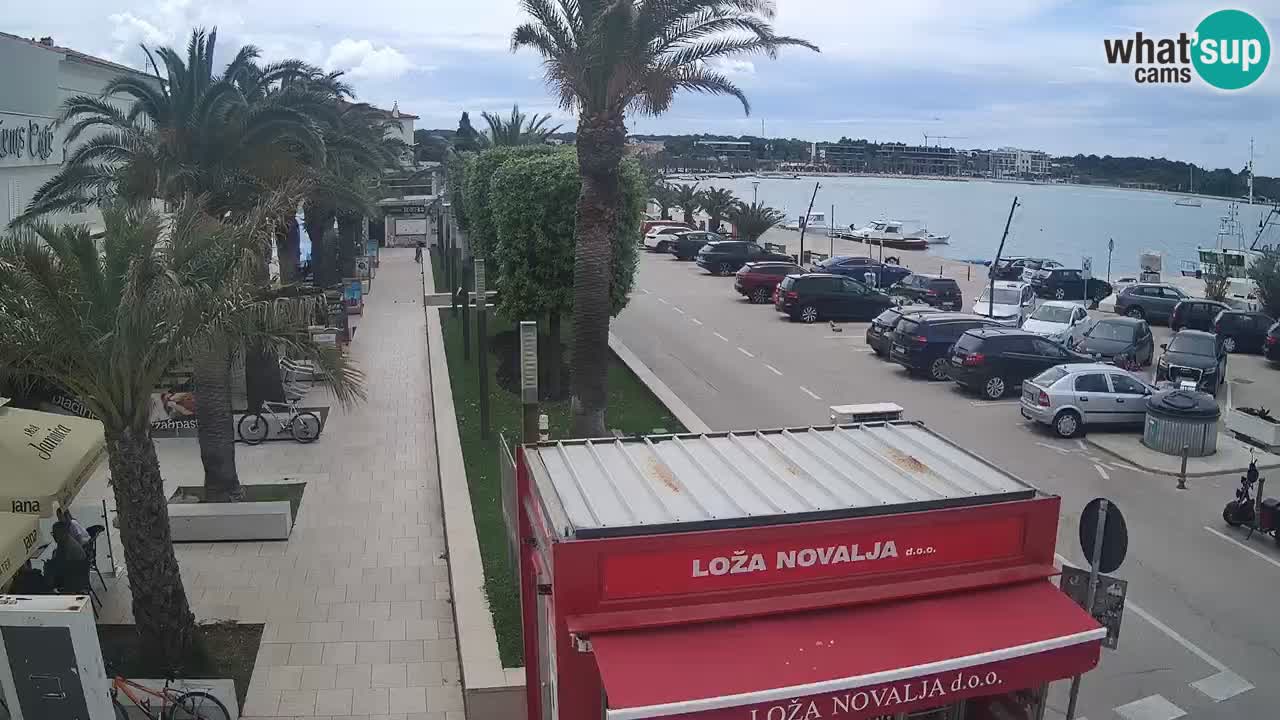 Spletna kamera Novalja – Obala Petra Krešimira IV