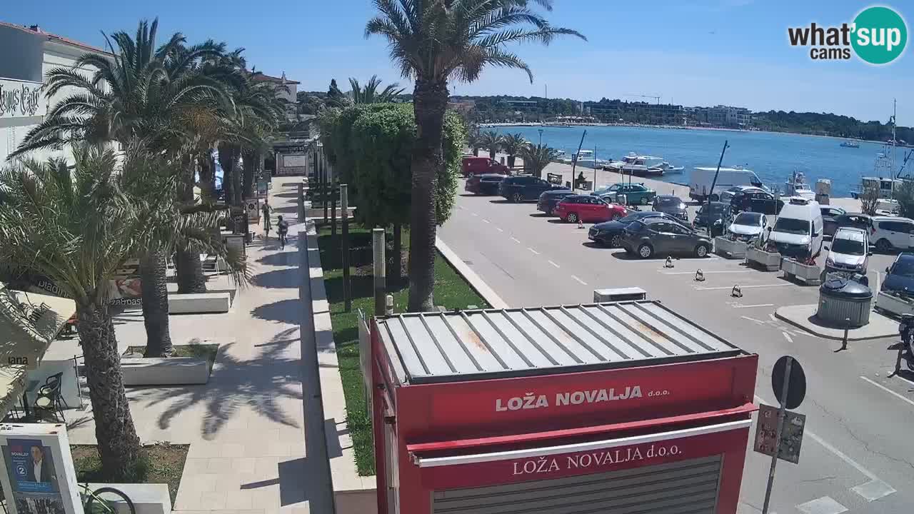 Web kamera Novalja – Obala Petra Krešimira IV