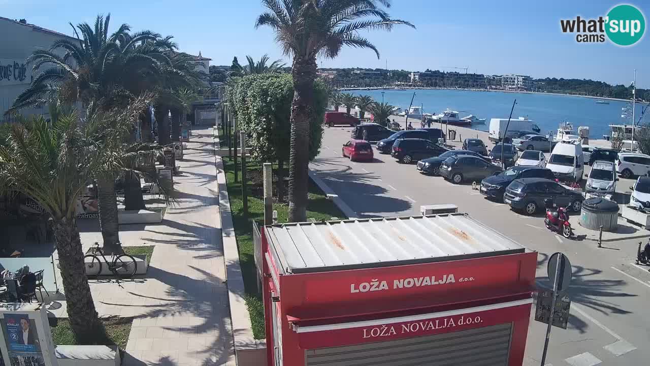 Camera en diecto Novalja – Obala Petra Krešimira IV