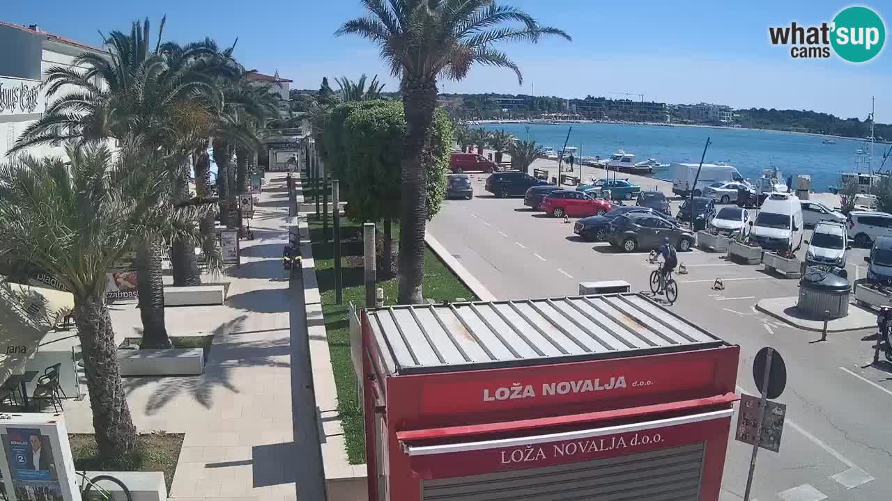 Spletna kamera Novalja – Obala Petra Krešimira IV