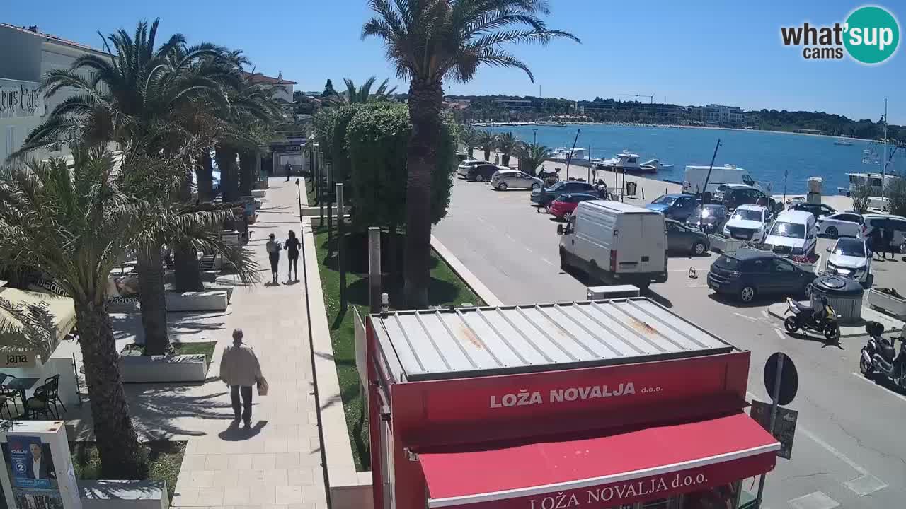 Camera en diecto Novalja – Obala Petra Krešimira IV
