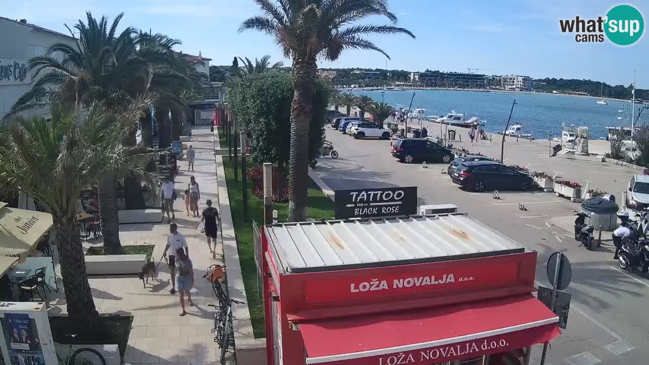 Camera en diecto Novalja – Obala Petra Krešimira IV