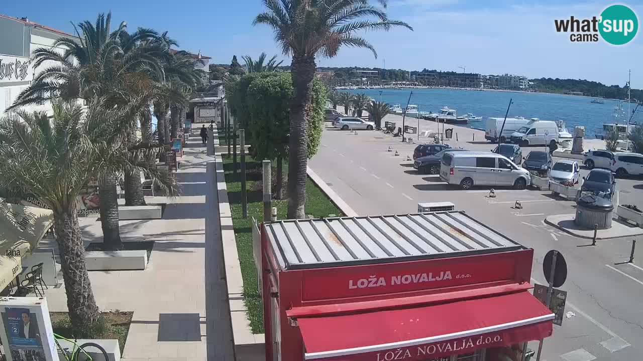 Web kamera Novalja – Obala Petra Krešimira IV