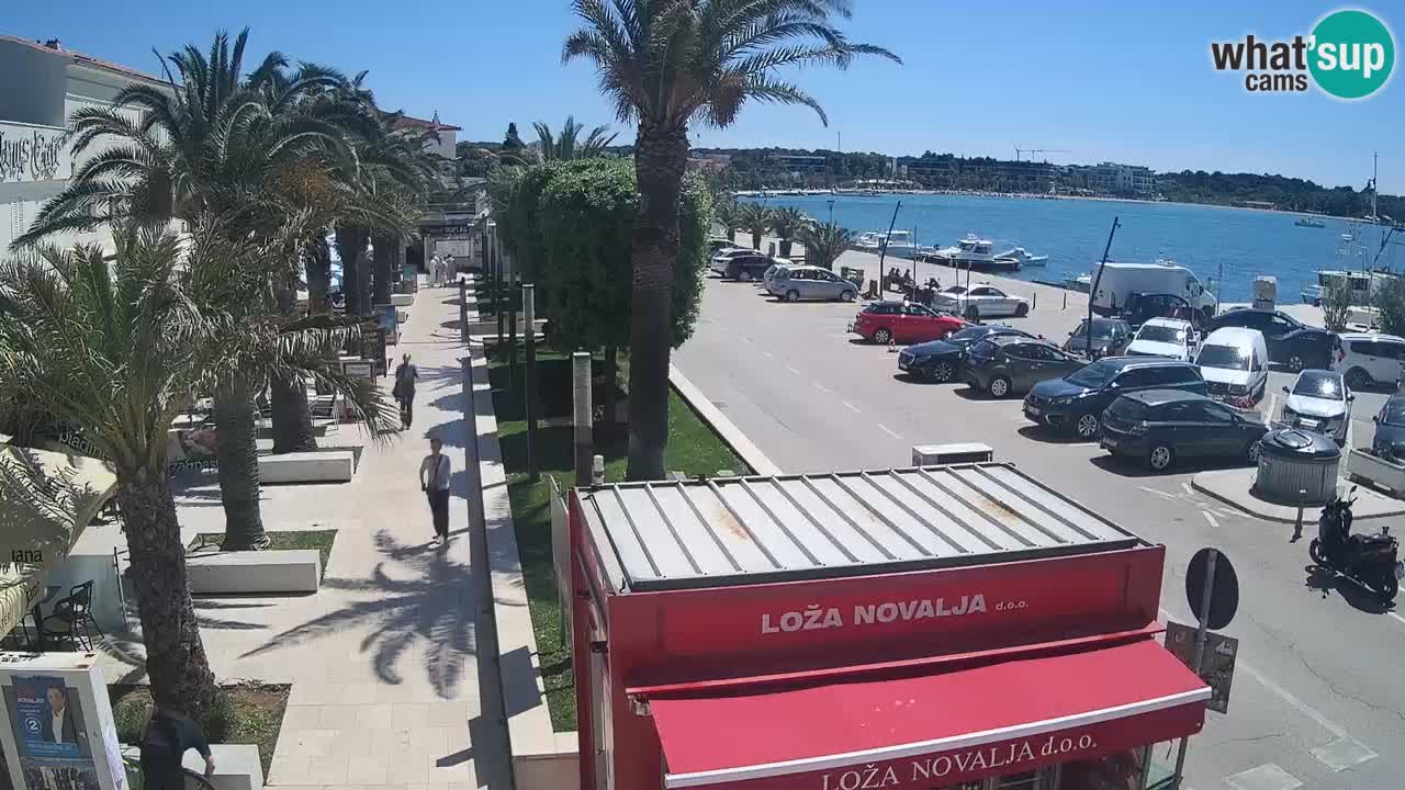 Live cam Novalja – Obala Petra Krešimira IV