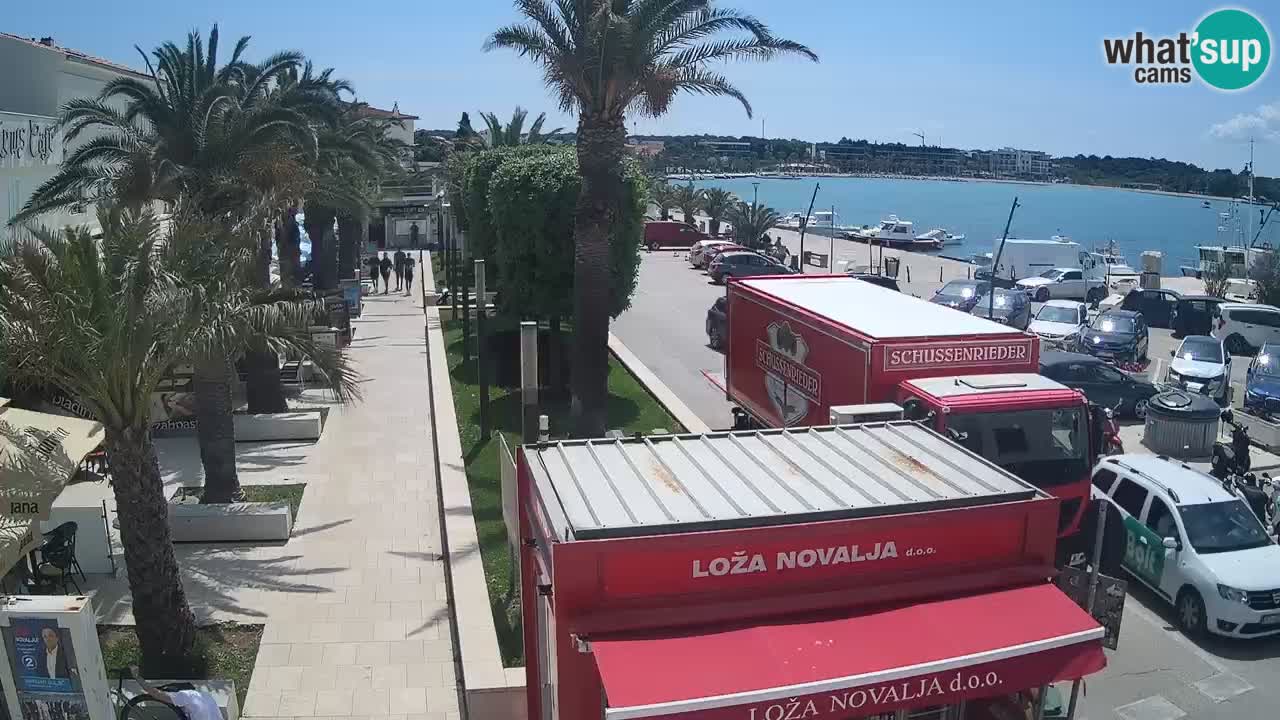 Camera en diecto Novalja – Obala Petra Krešimira IV