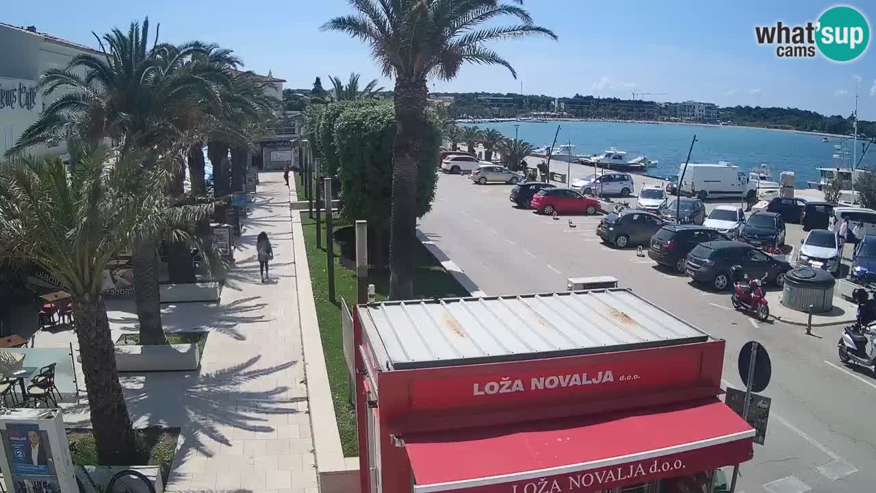 Live cam Novalja – Obala Petra Krešimira IV