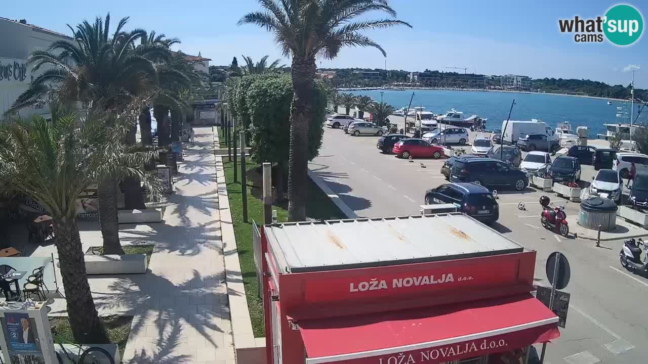 Live cam Novalja – Obala Petra Krešimira IV