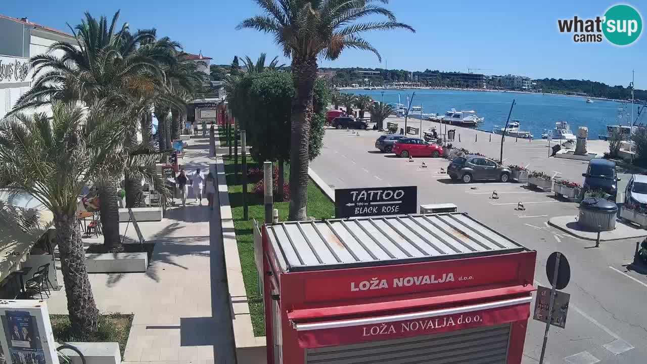 Live cam Novalja – Obala Petra Krešimira IV