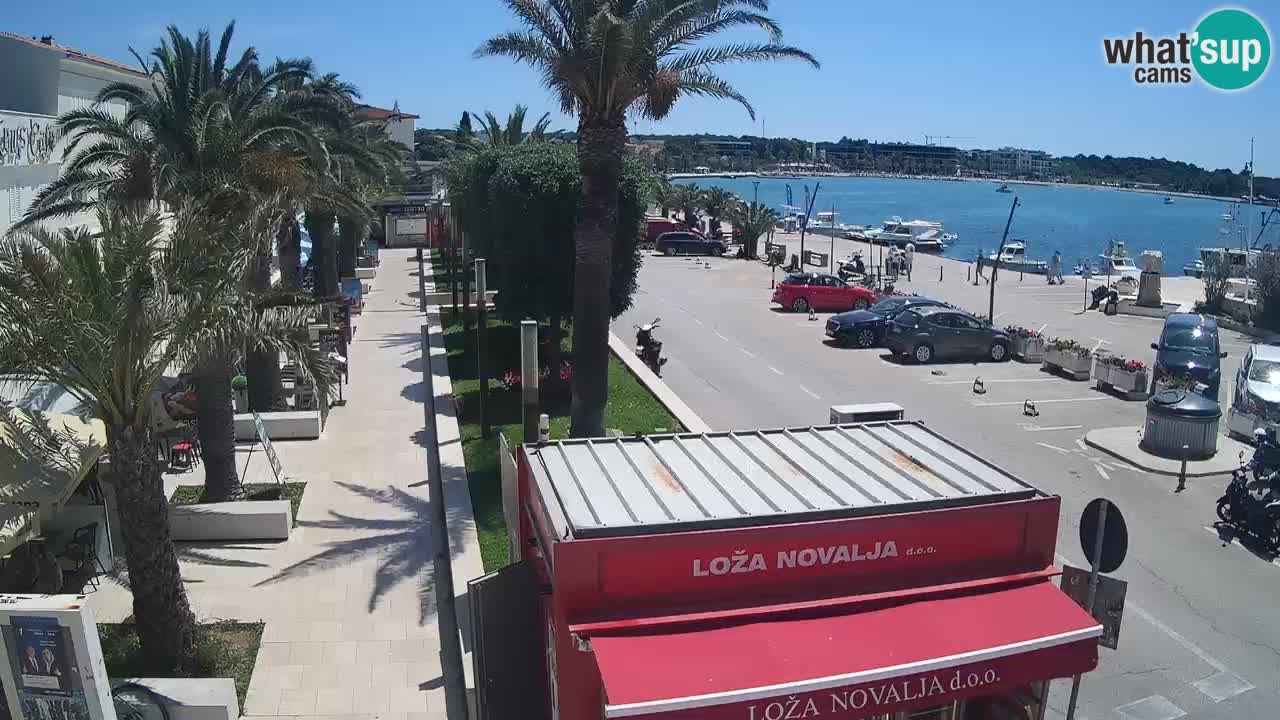 Camera en diecto Novalja – Obala Petra Krešimira IV