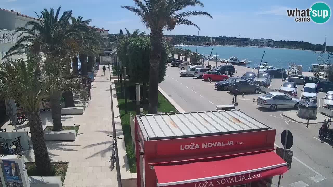 Camera en diecto Novalja – Obala Petra Krešimira IV